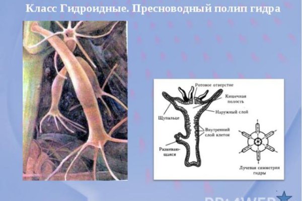 Кракен как зайти на сайт